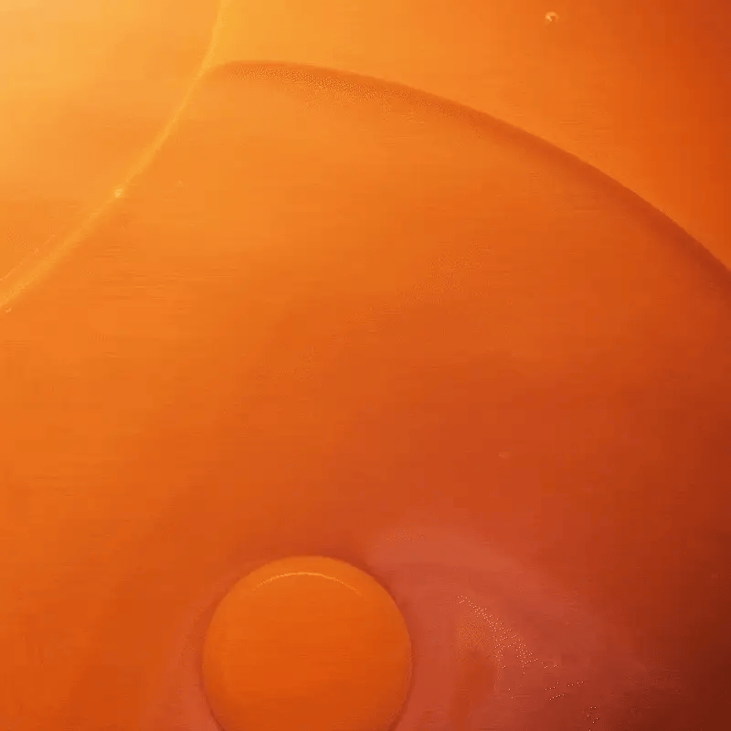 FAQ Image
